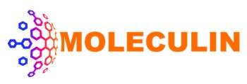 logo991.jpg