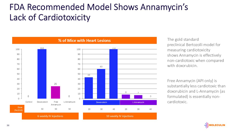 slide36.jpg