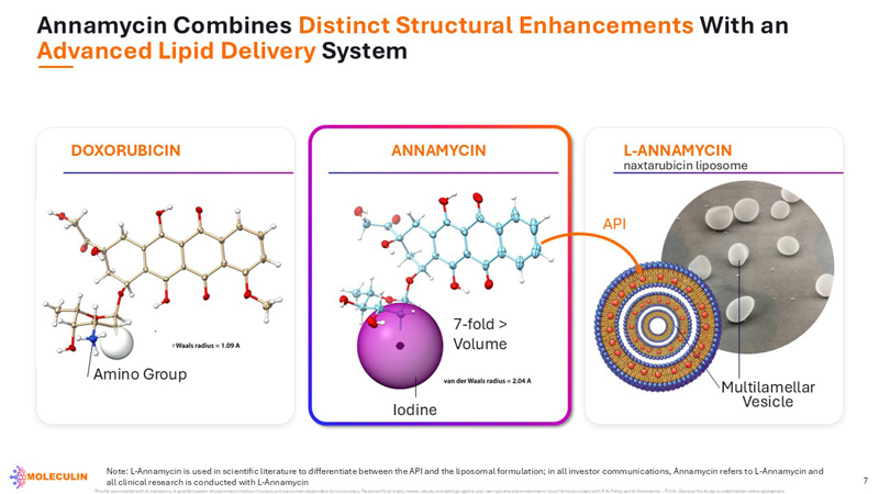 slide07.jpg