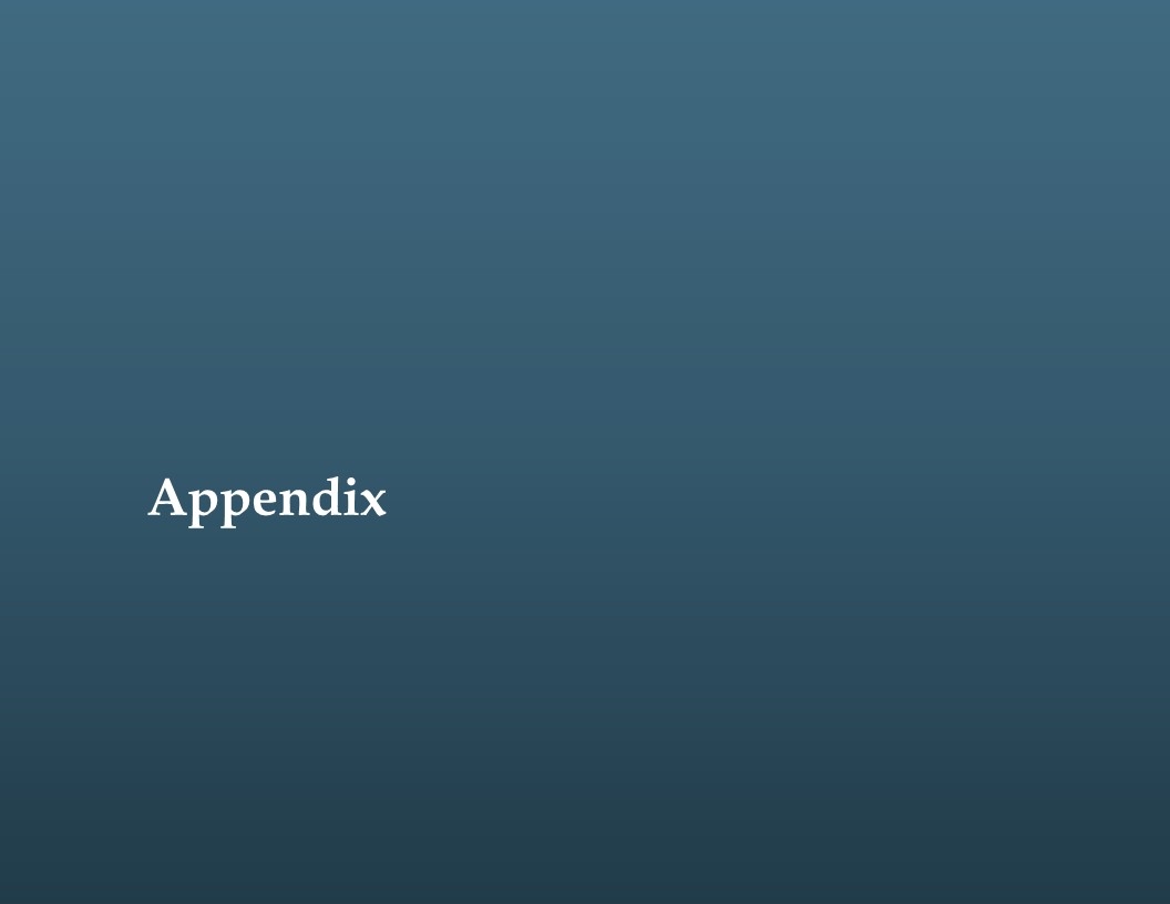 Slide 13