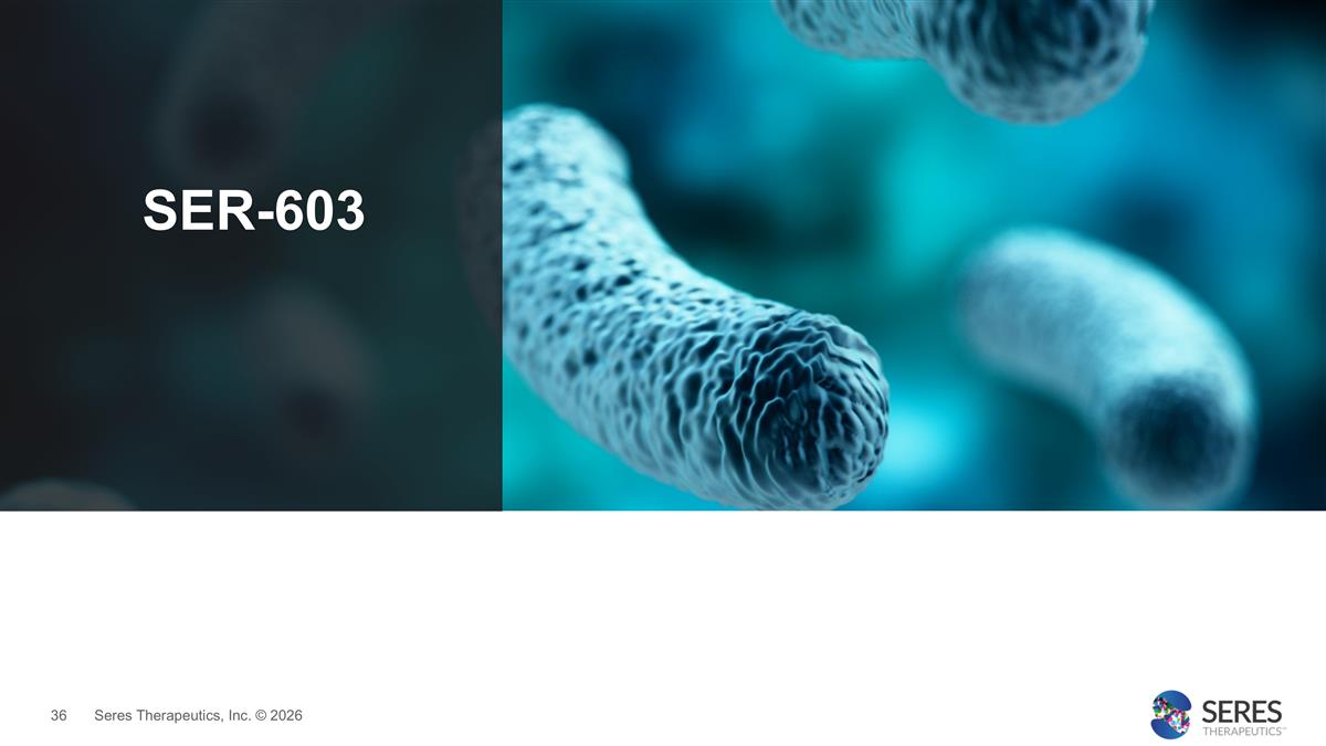 Slide 36