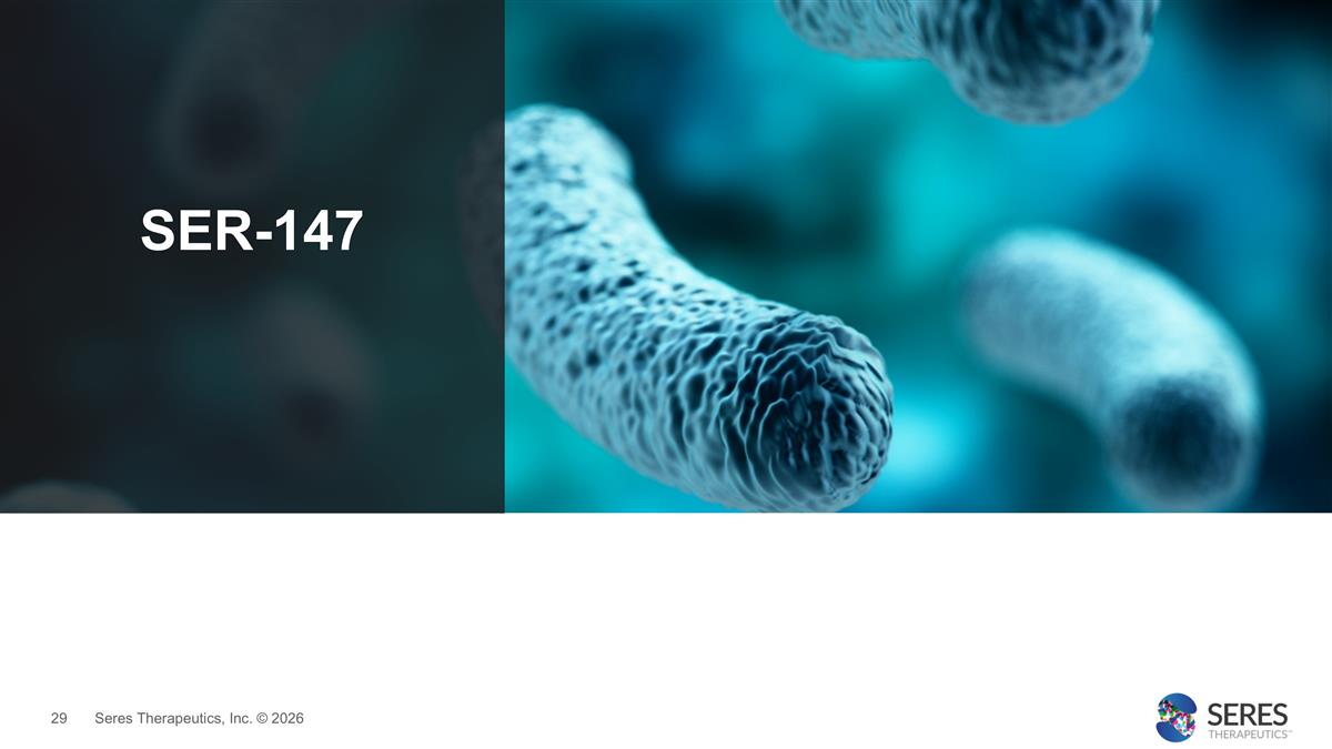 Slide 29