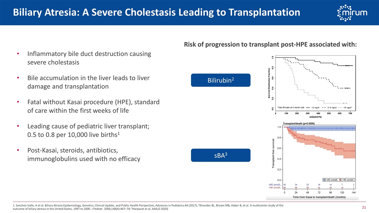 Slide 21