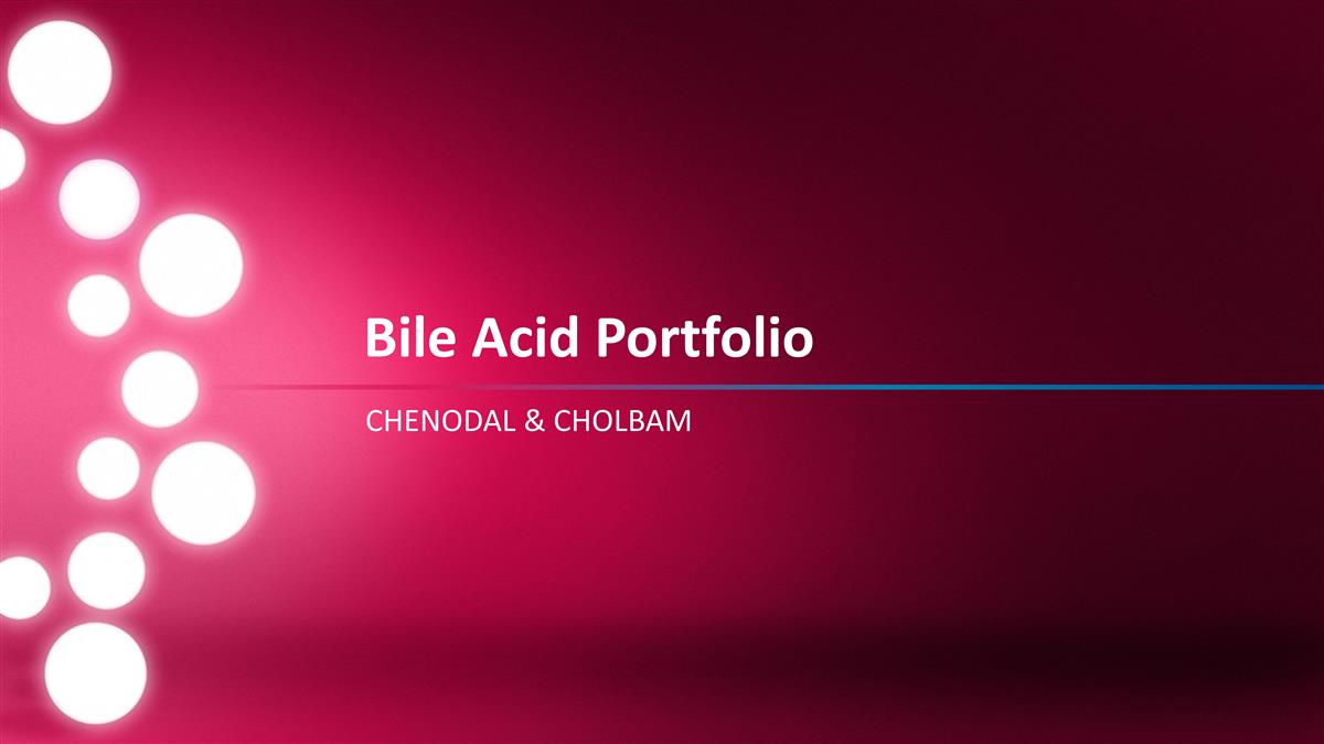 Slide 14