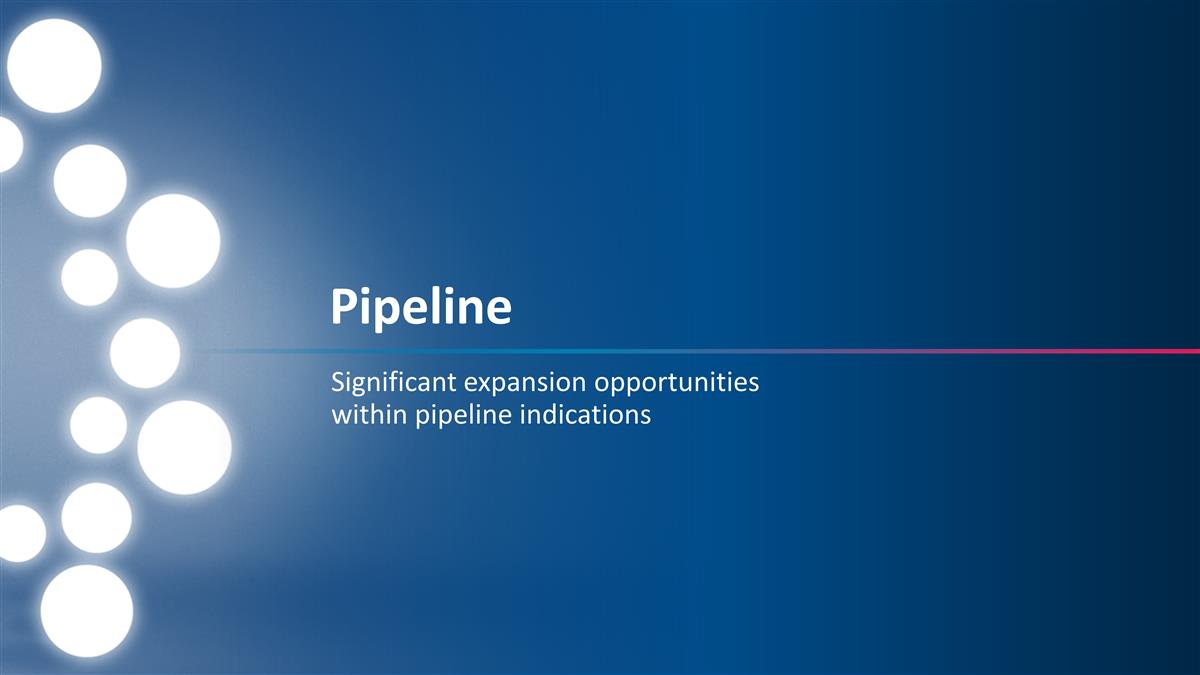 Slide 17