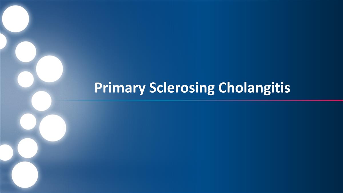 Slide 24