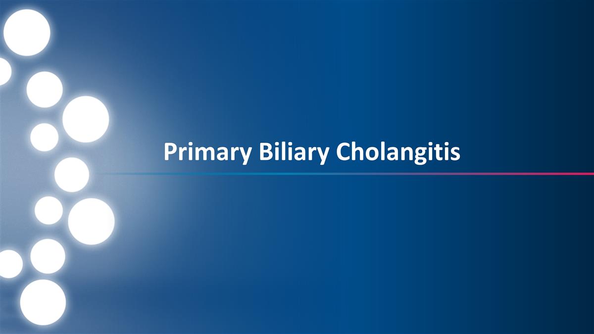 Slide 28