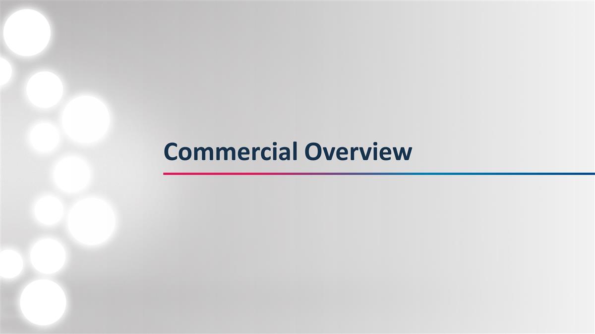 Slide 7