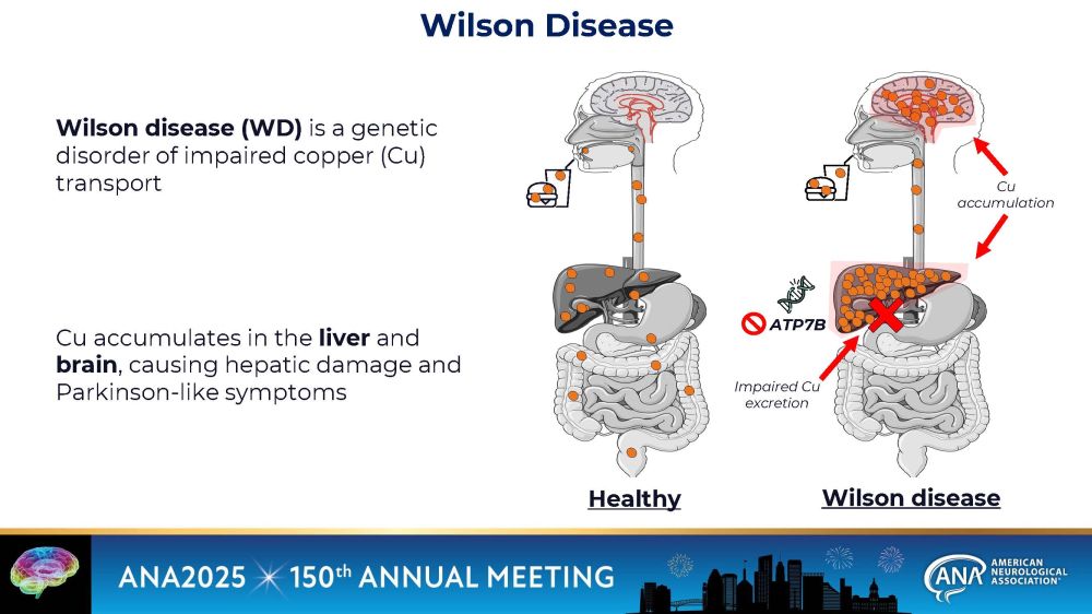 slide03.jpg