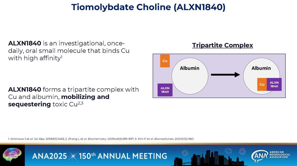slide05.jpg