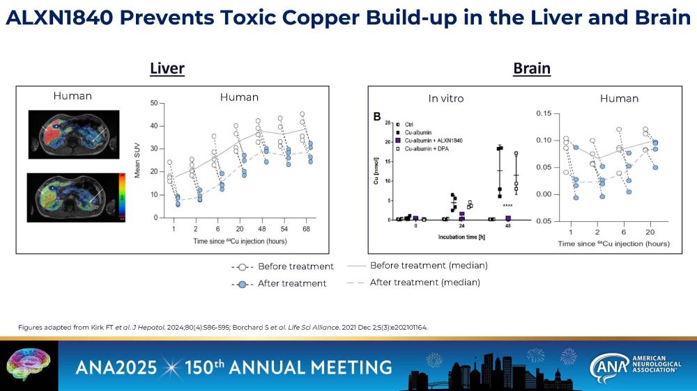 slide07.jpg