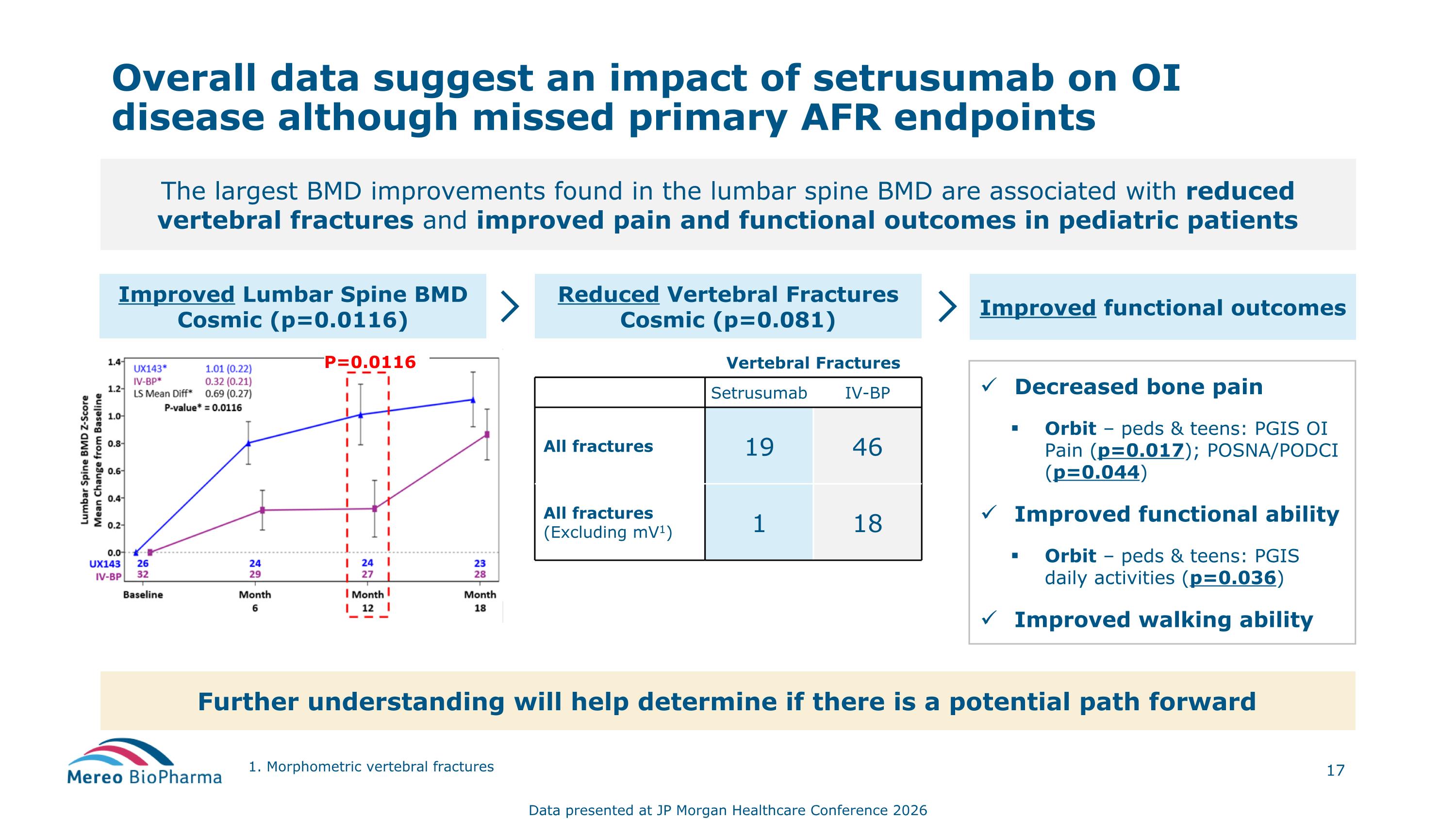 Slide 17