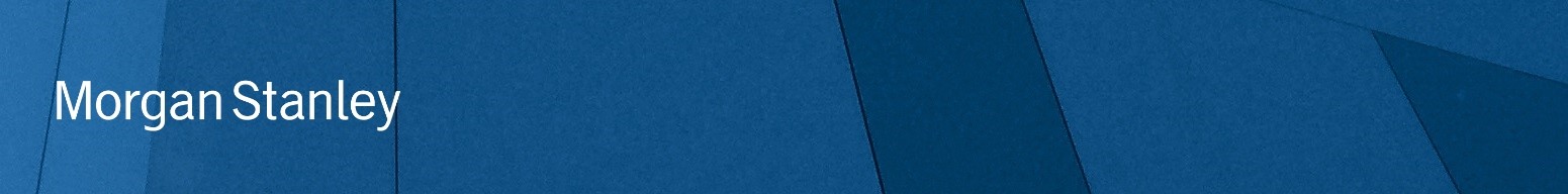 msbanner.jpg