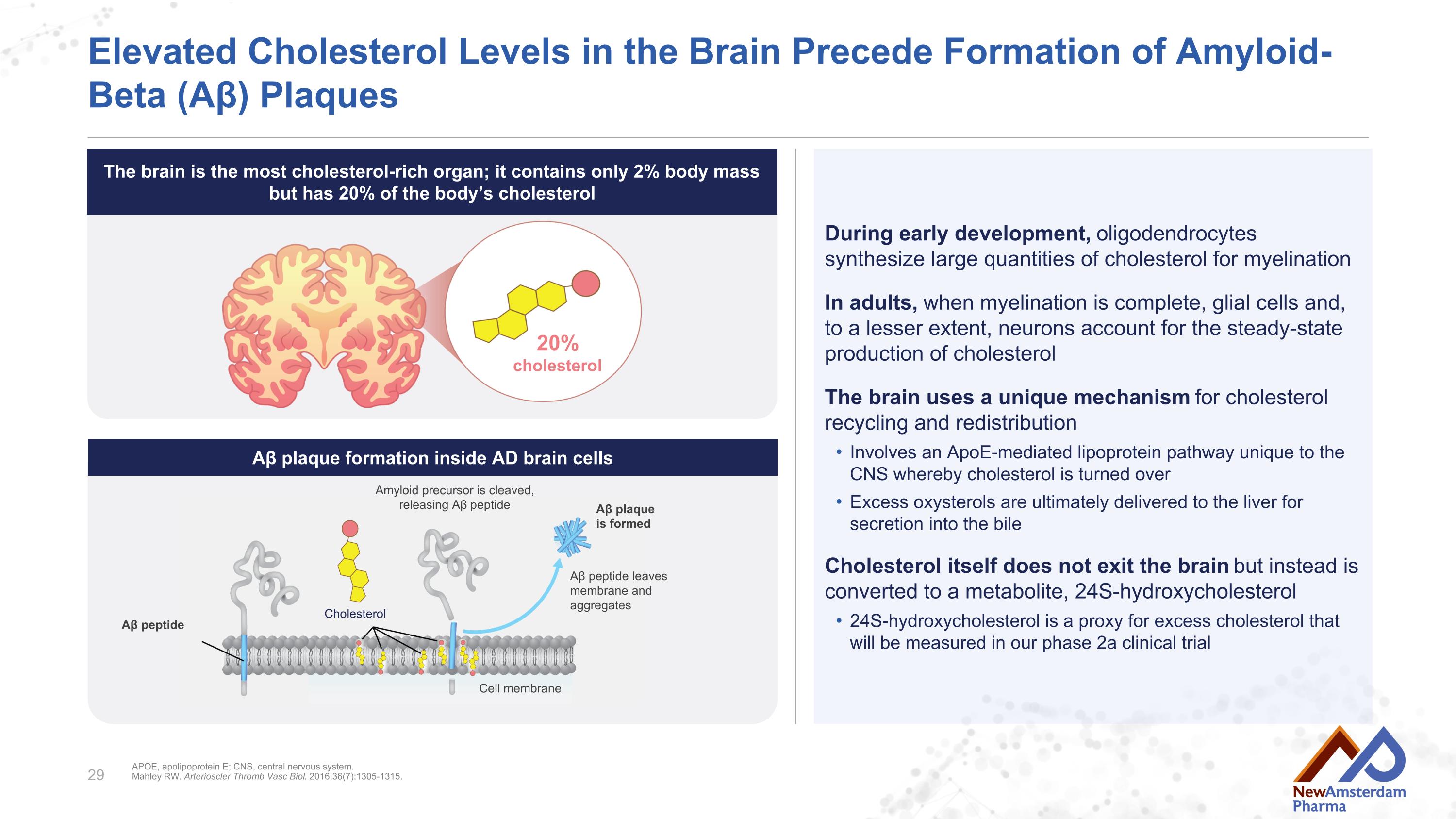 Slide 29