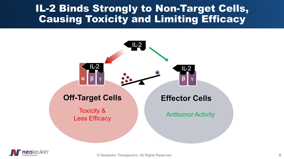 Slide 8