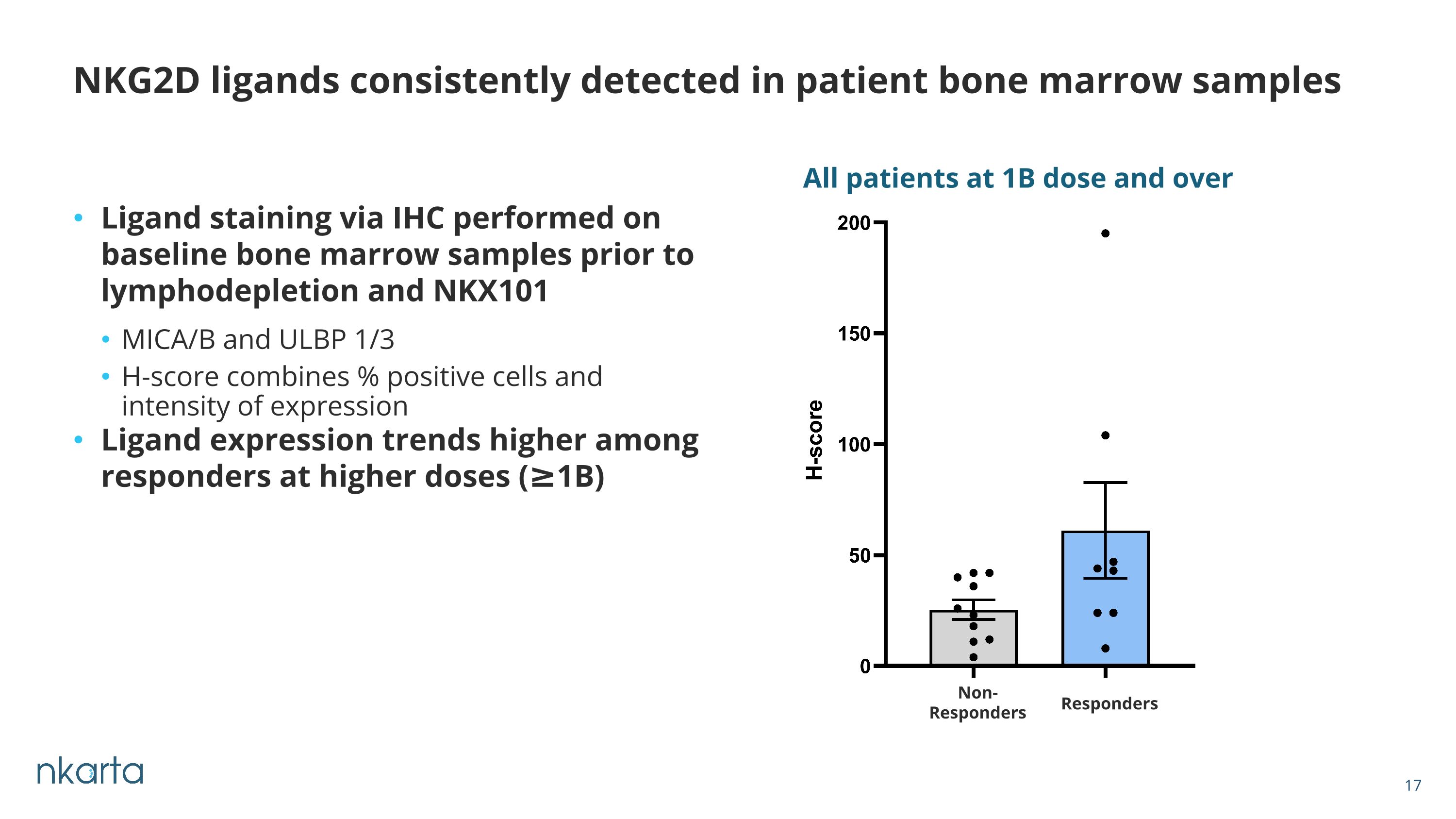 Slide 17