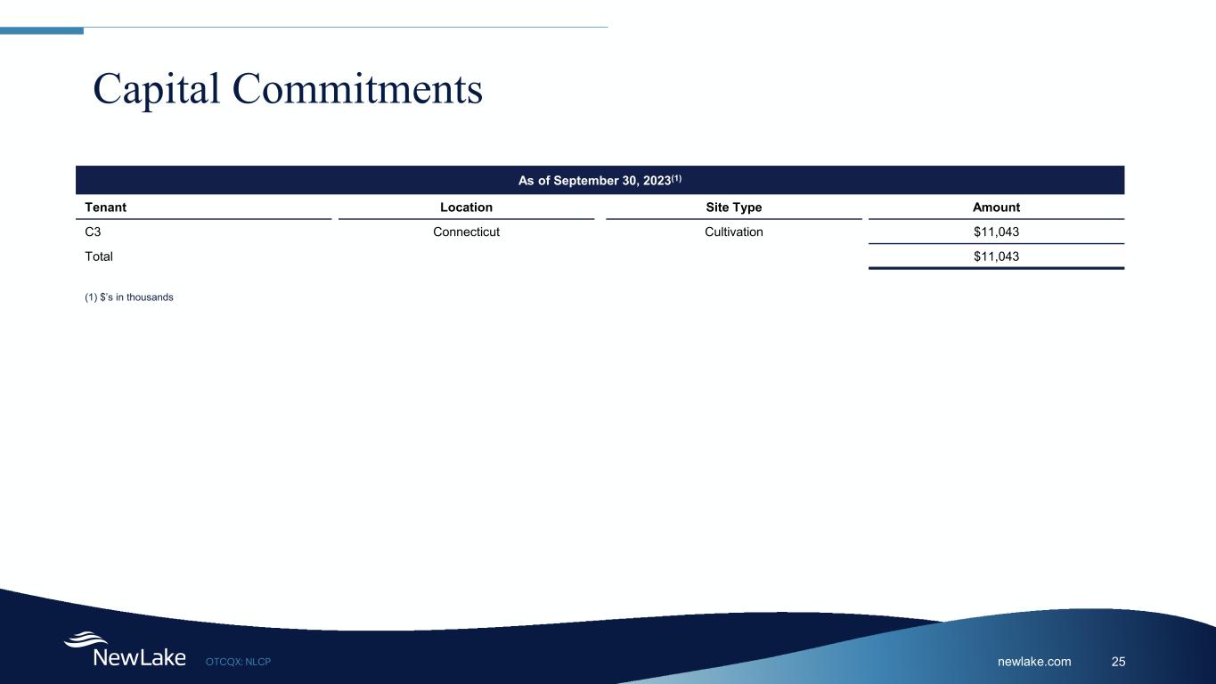 Slide 25 of 29