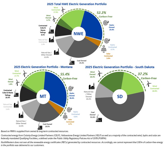 Electric Generation Portfolio.jpg
