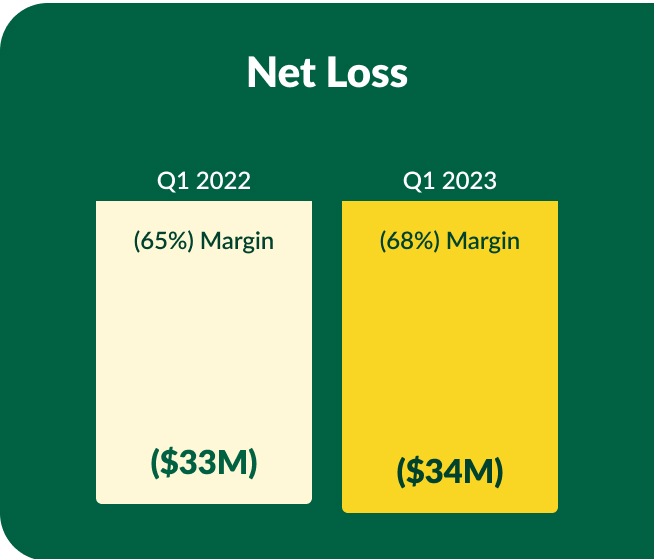 netloss.jpg