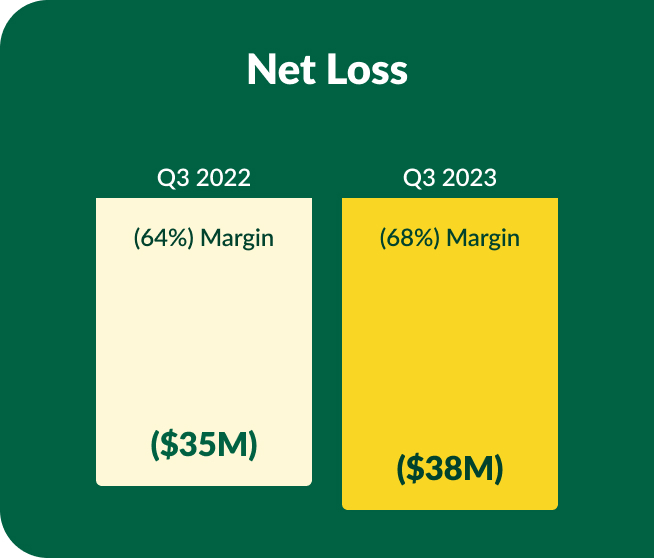 netloss.jpg