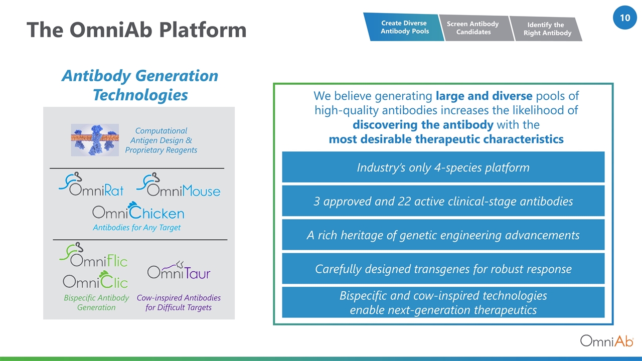Slide 10