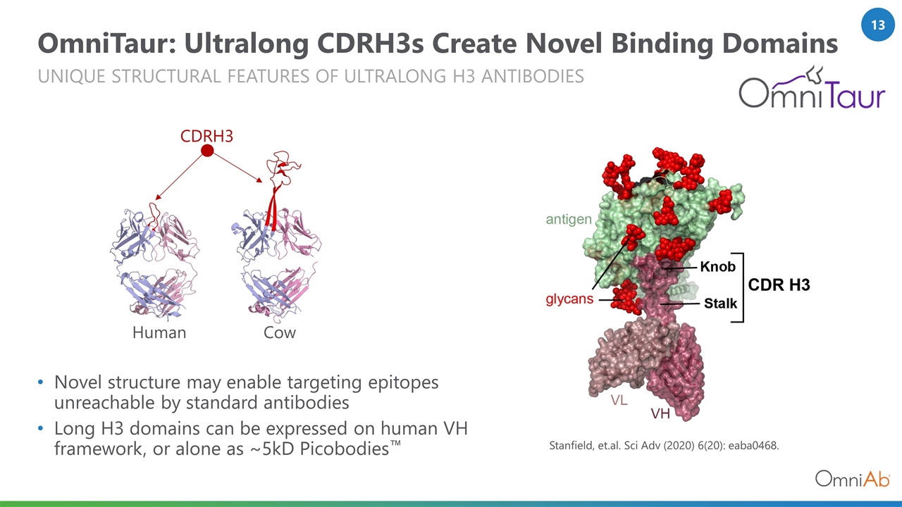 Slide 13