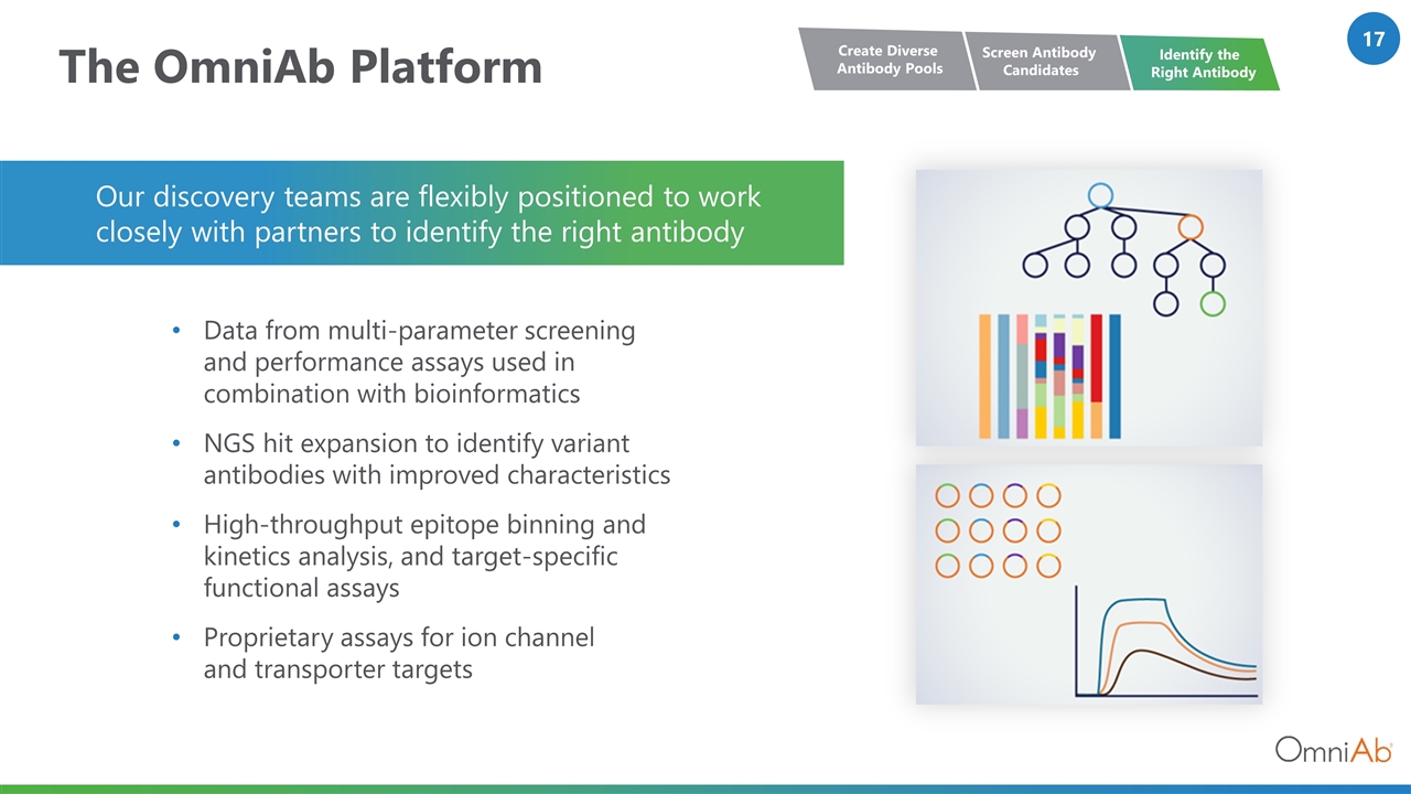 Slide 17