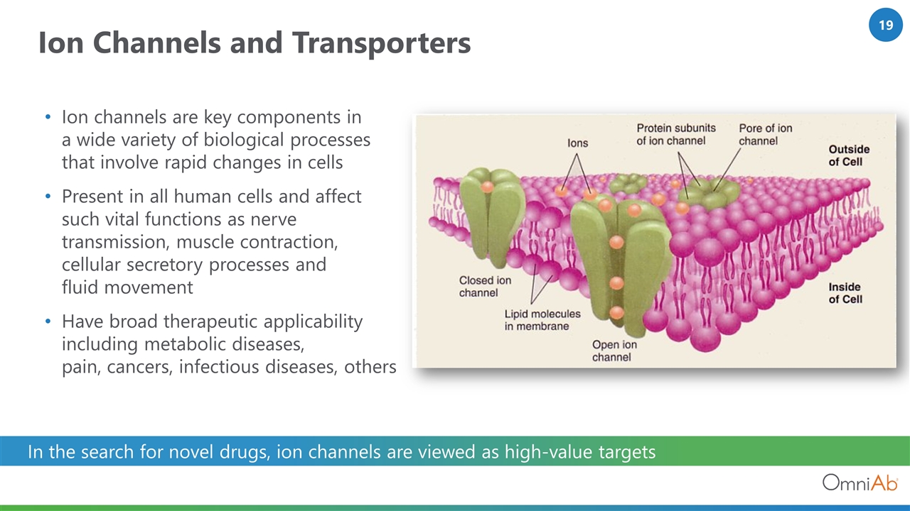 Slide 19