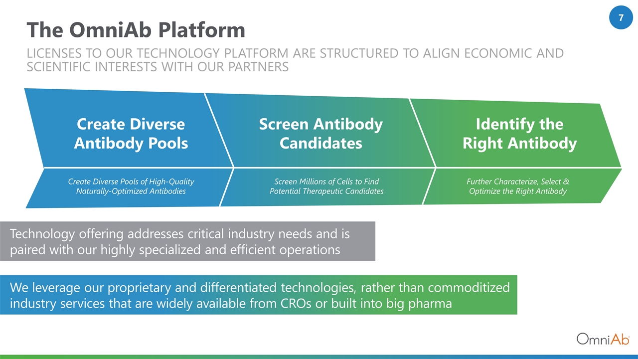 Slide 7