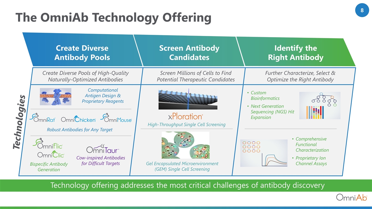 Slide 8