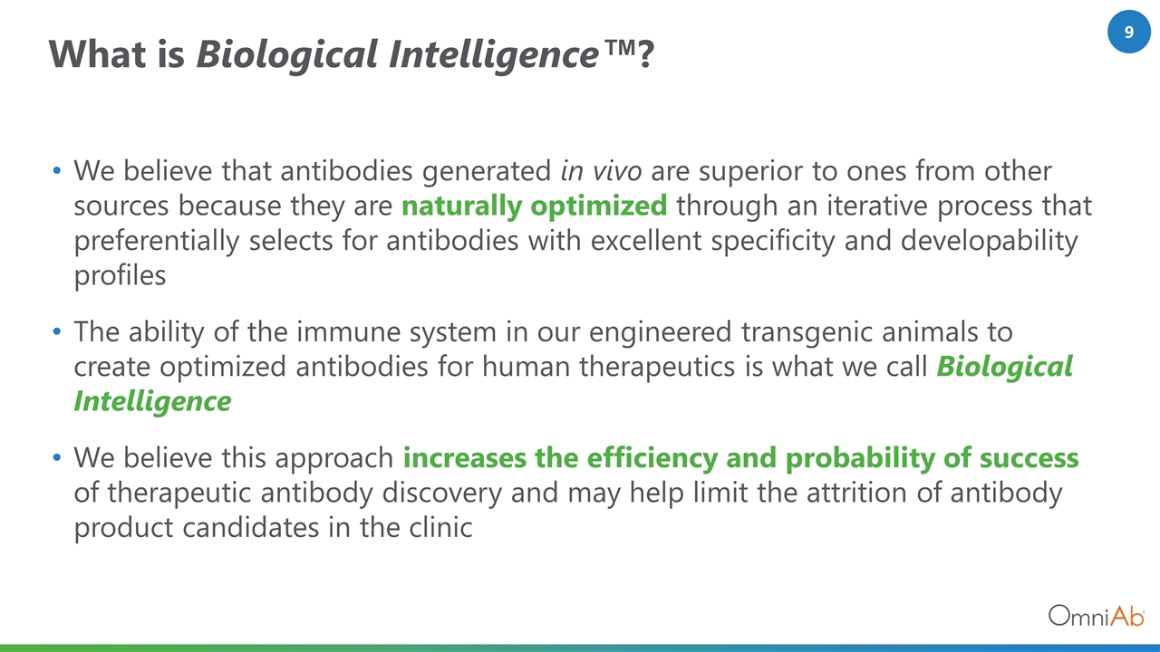 Slide 9