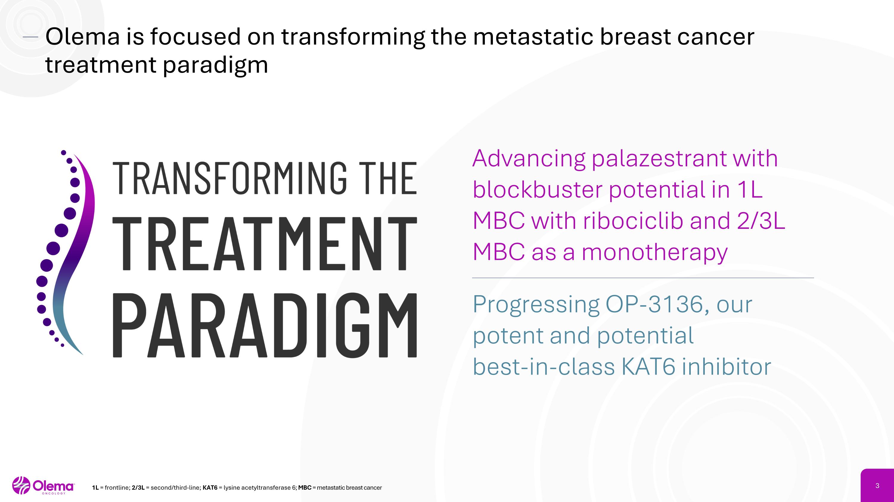 Slide 3
