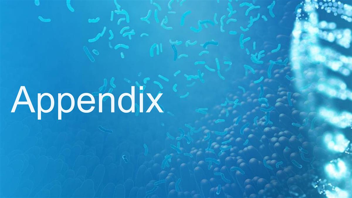 Slide 12