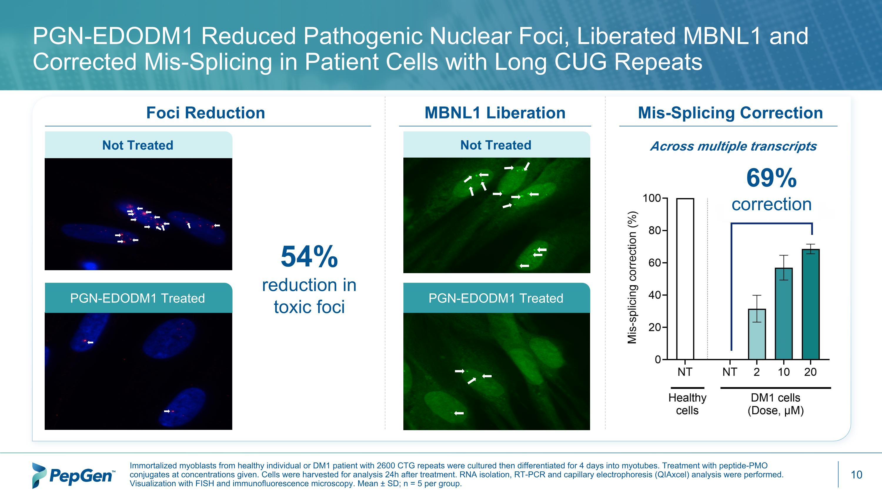 Slide 10