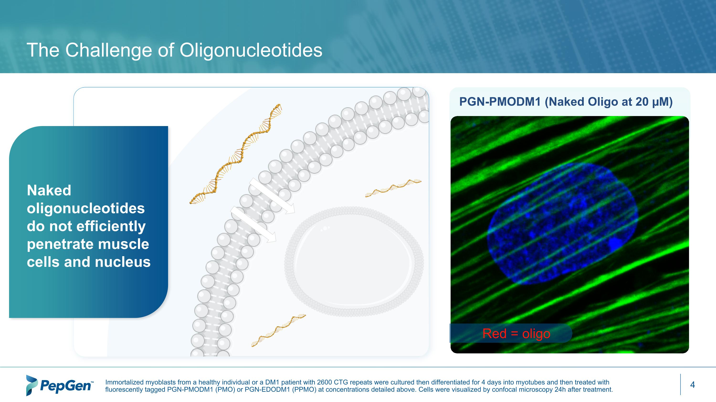 Slide 4