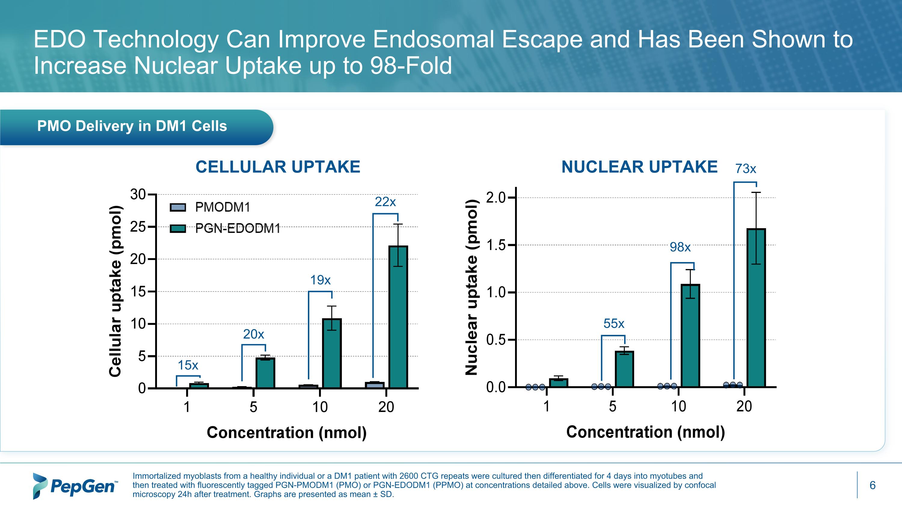 Slide 6