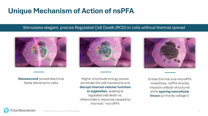 slide_page07.jpg