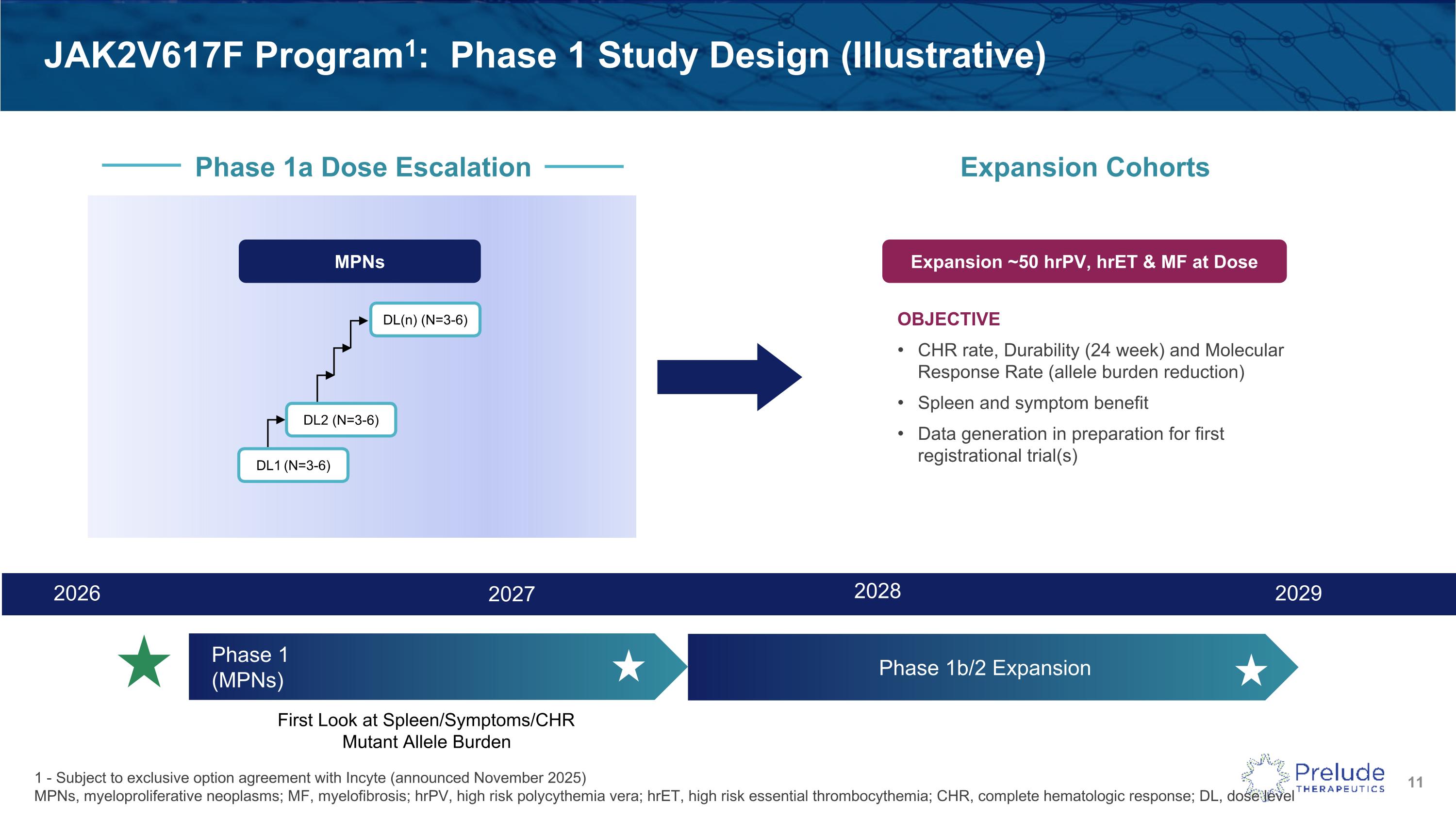 Slide 11