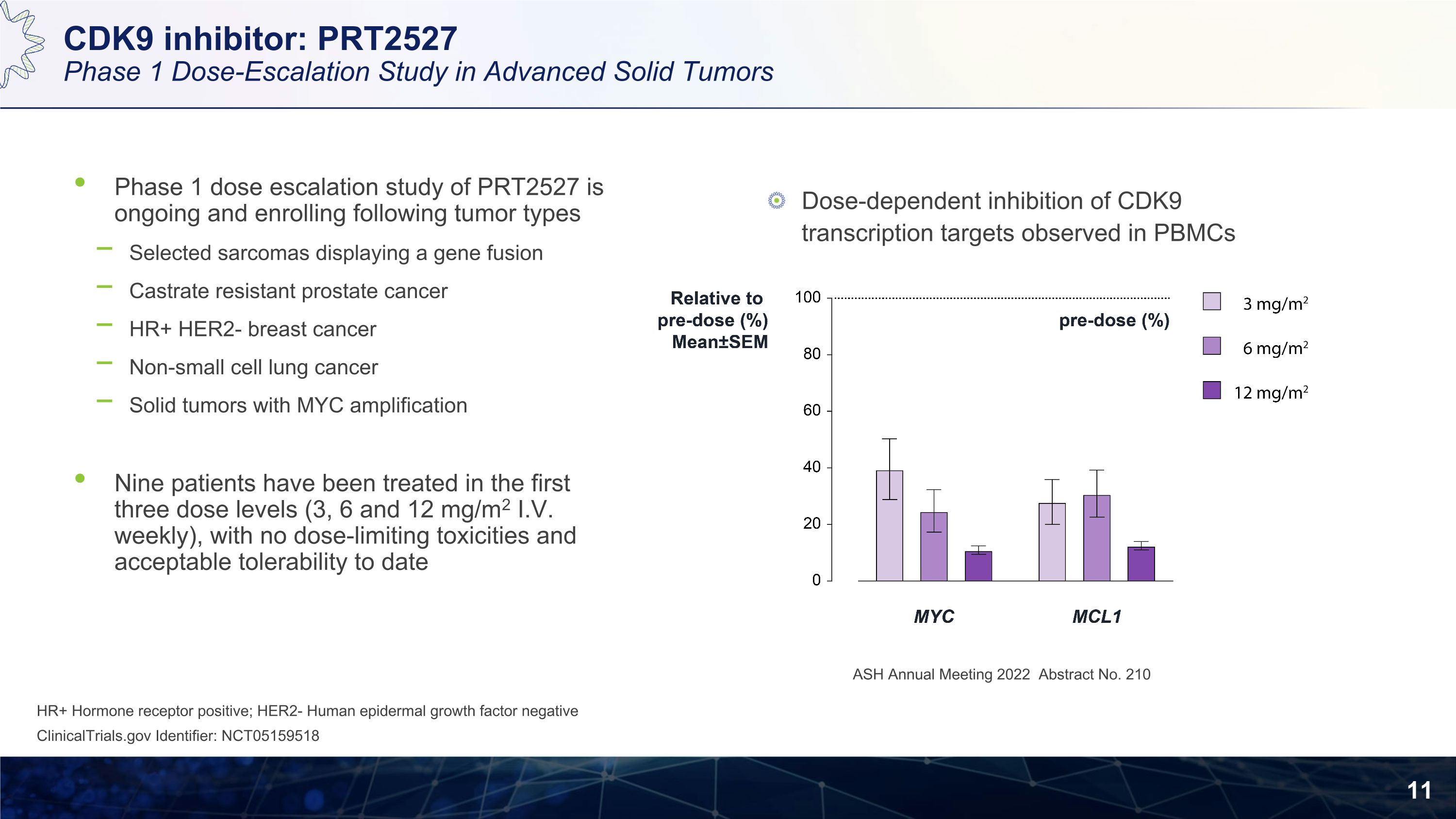 Slide 11