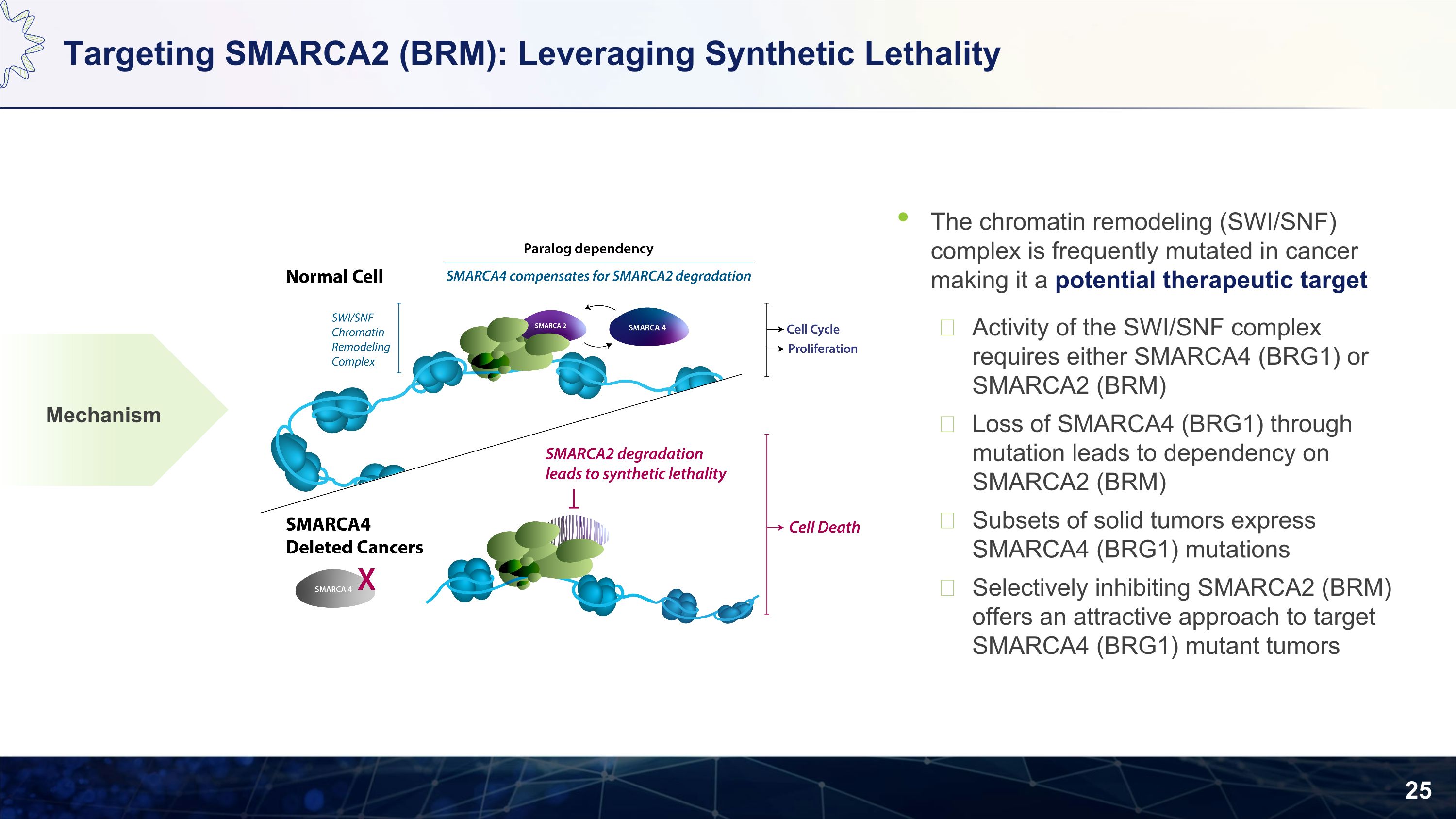 Slide 25