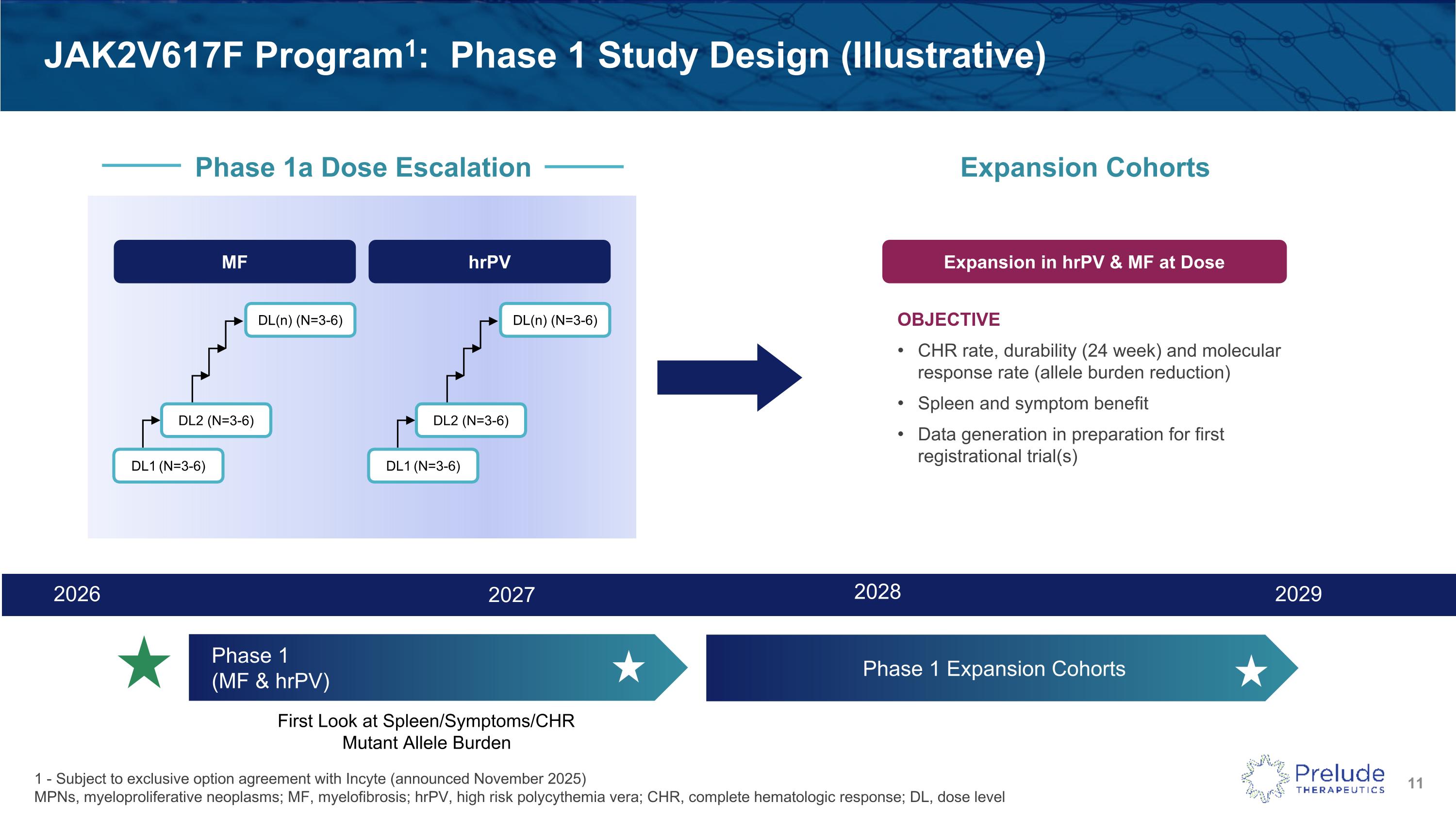 Slide 11