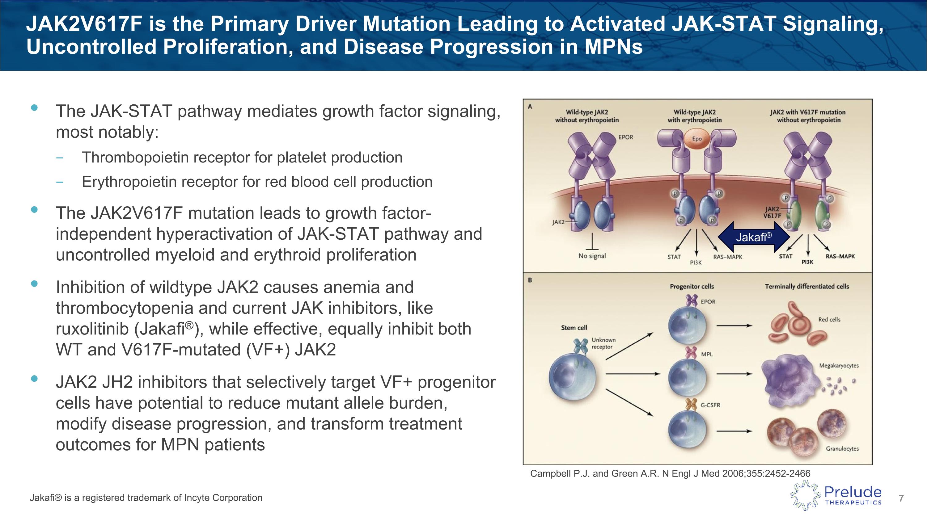 Slide 7