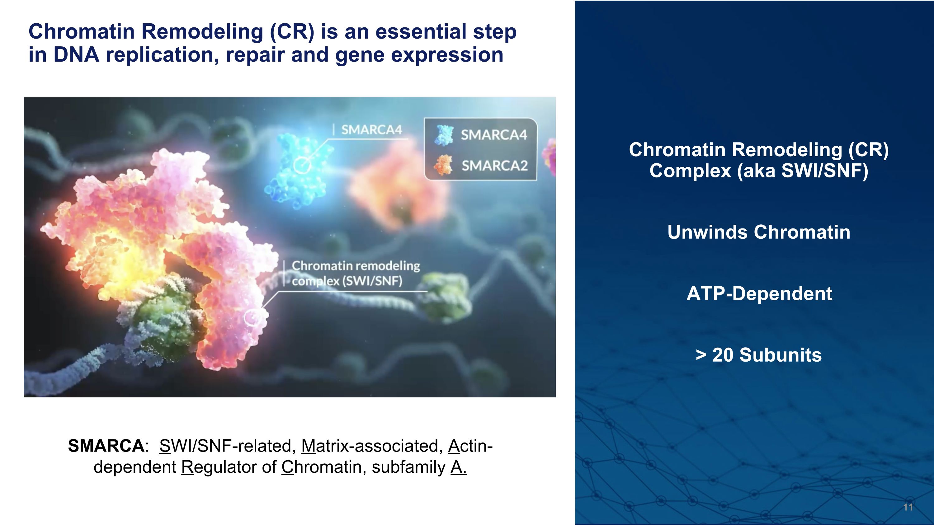 Slide 11