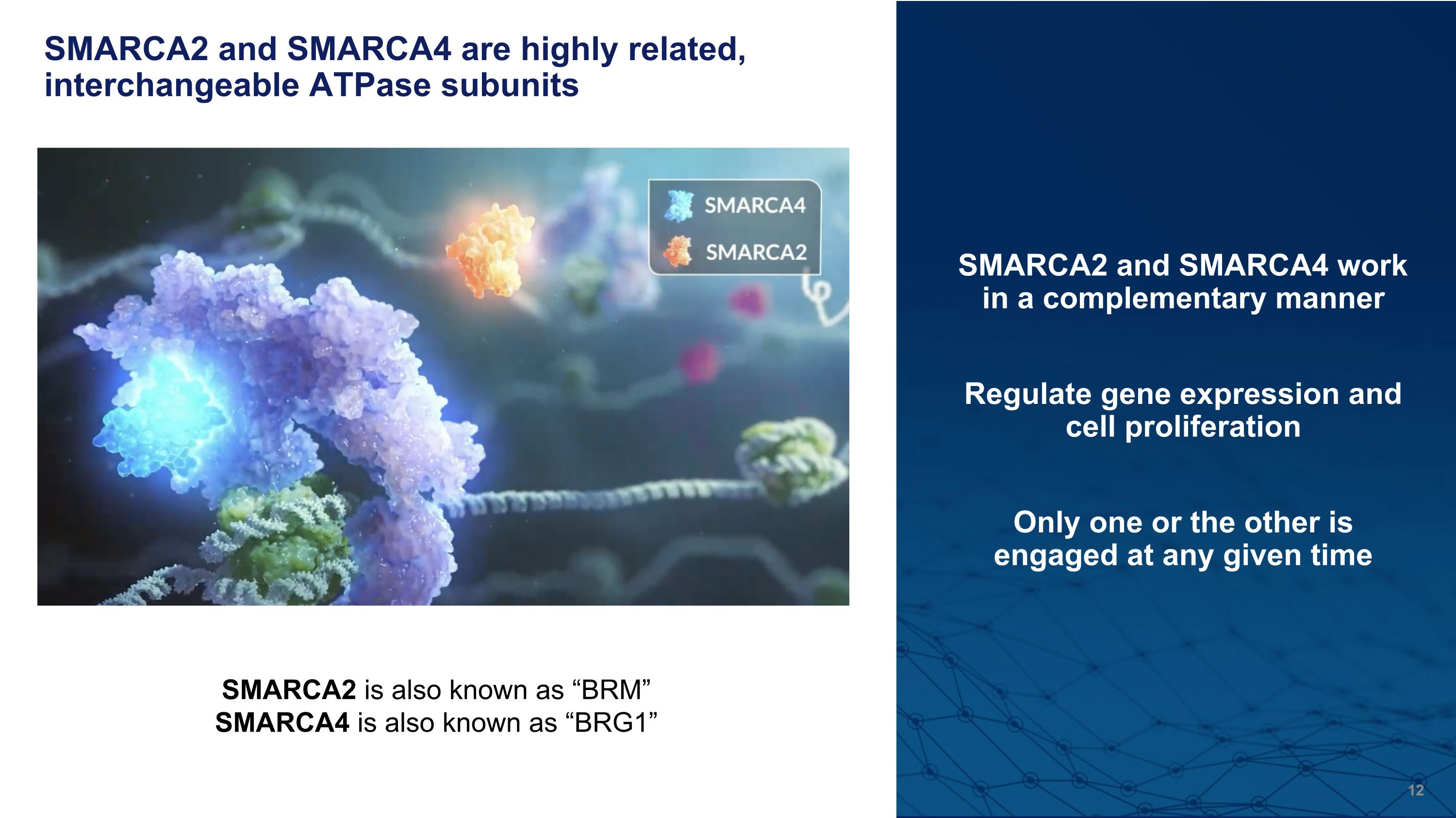 Slide 12