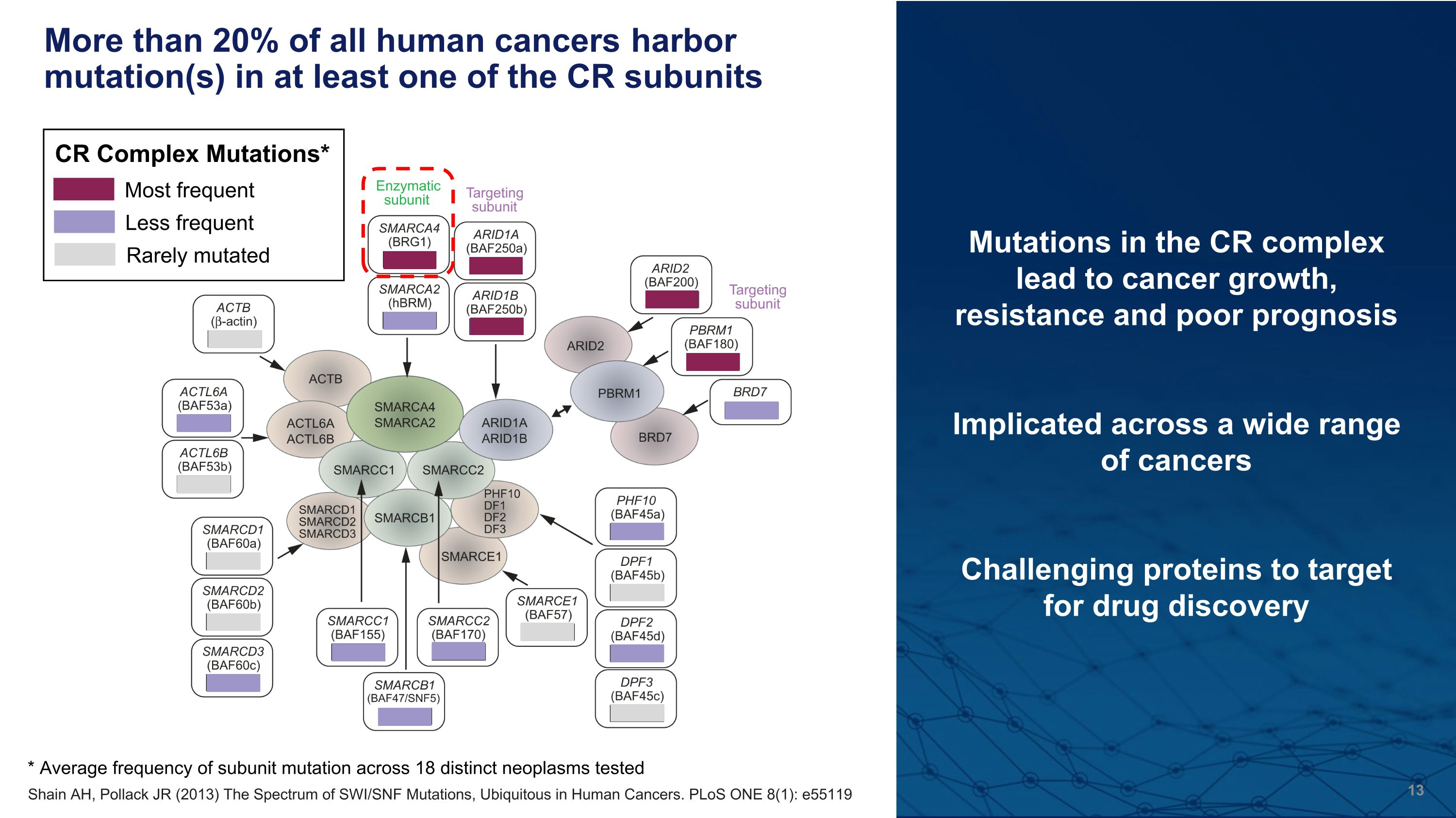 Slide 13