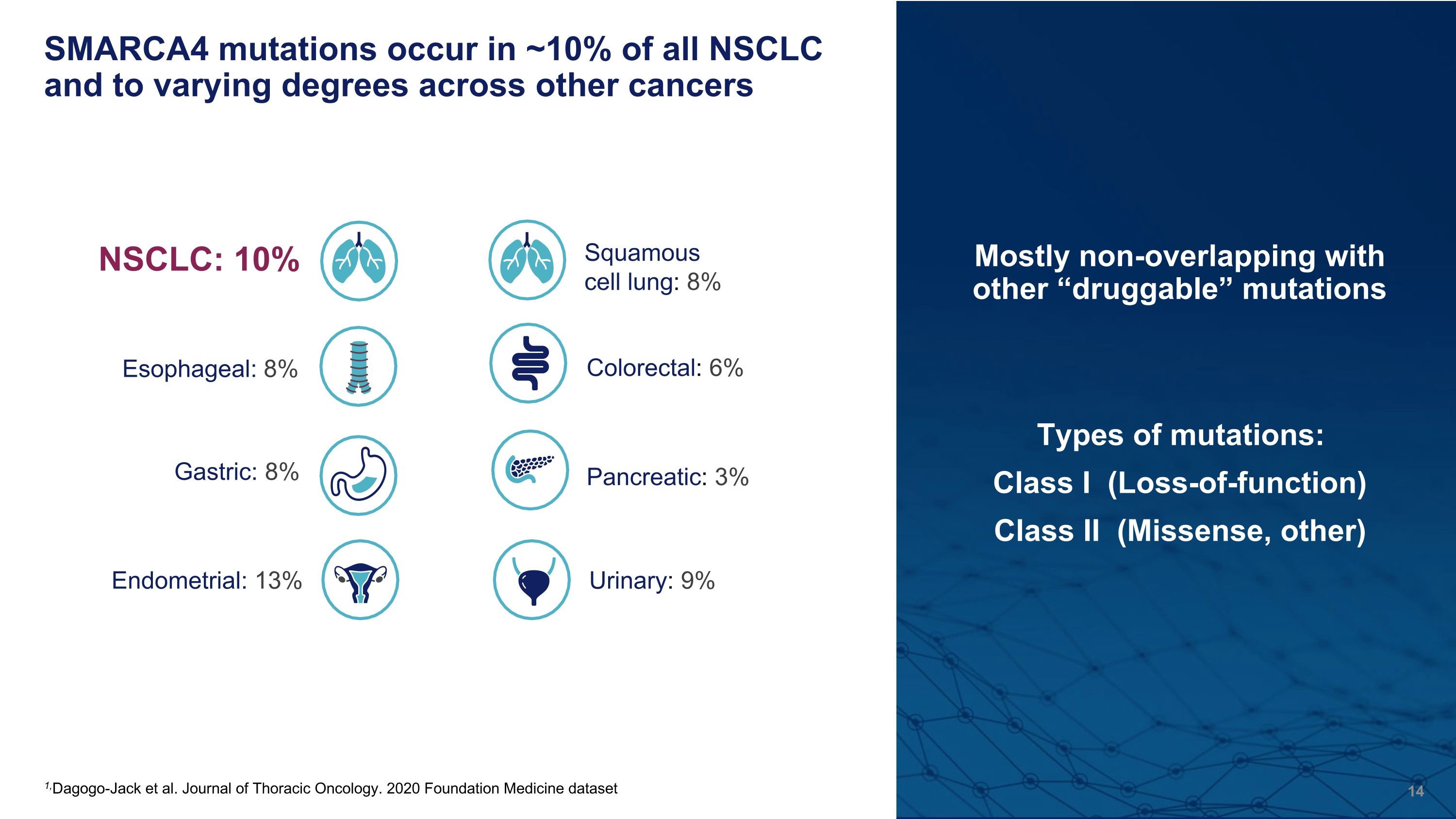 Slide 14