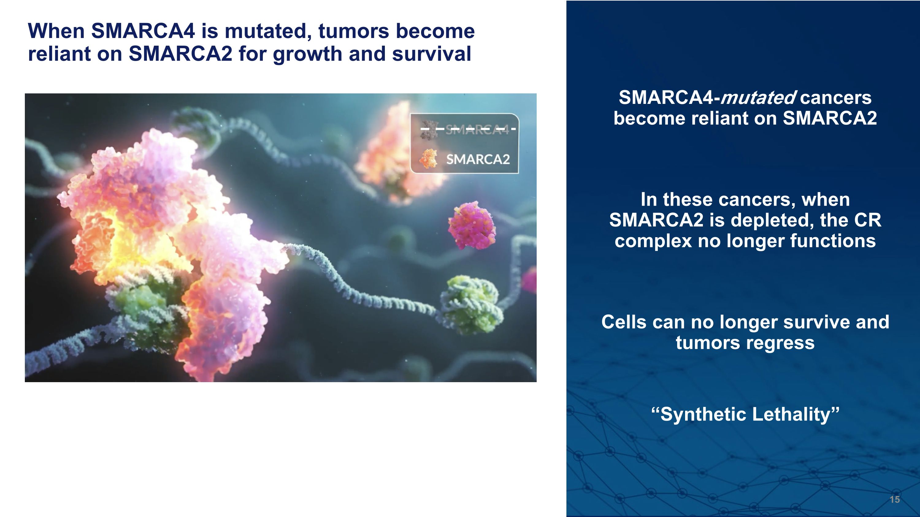 Slide 15