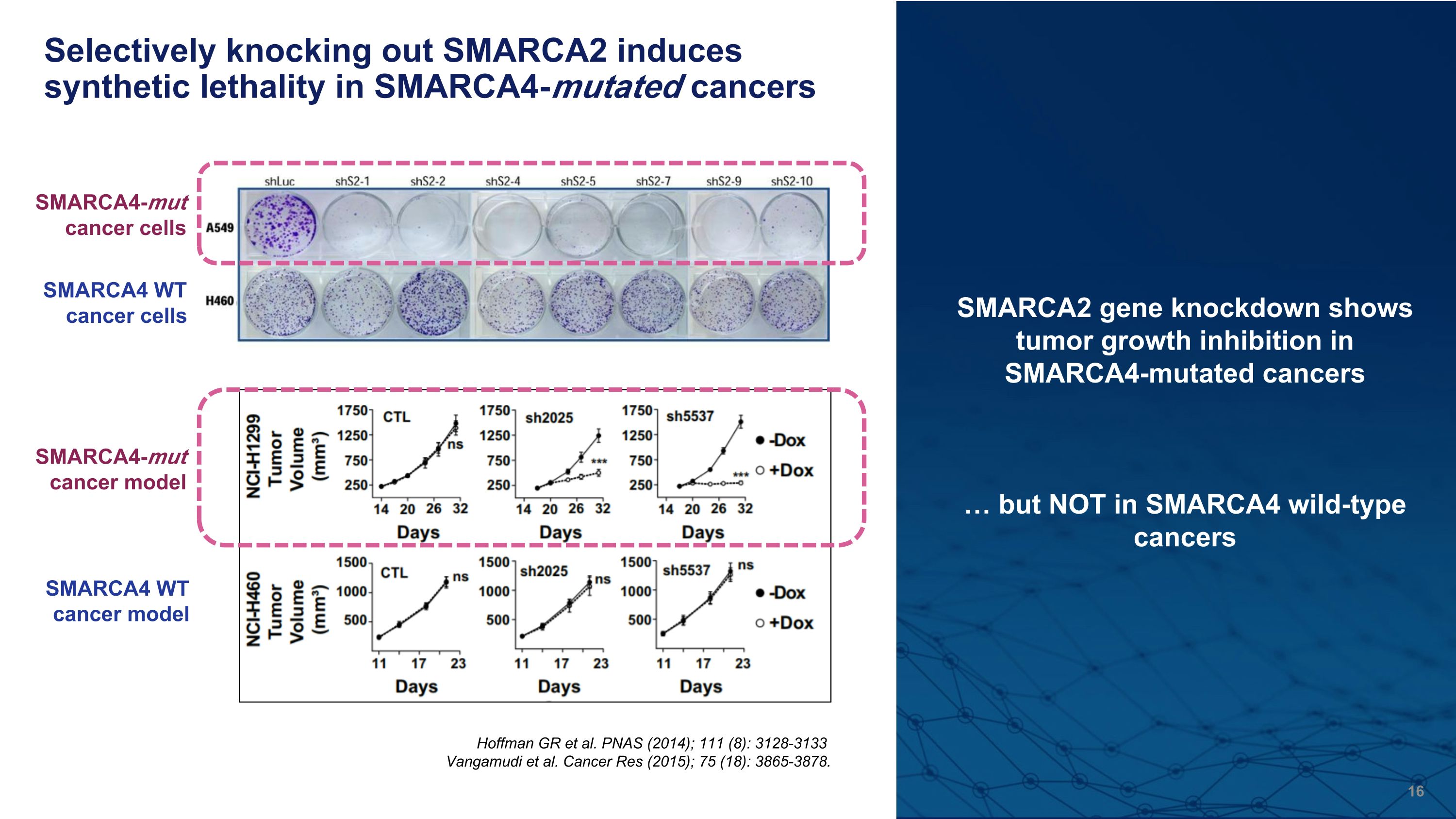 Slide 16