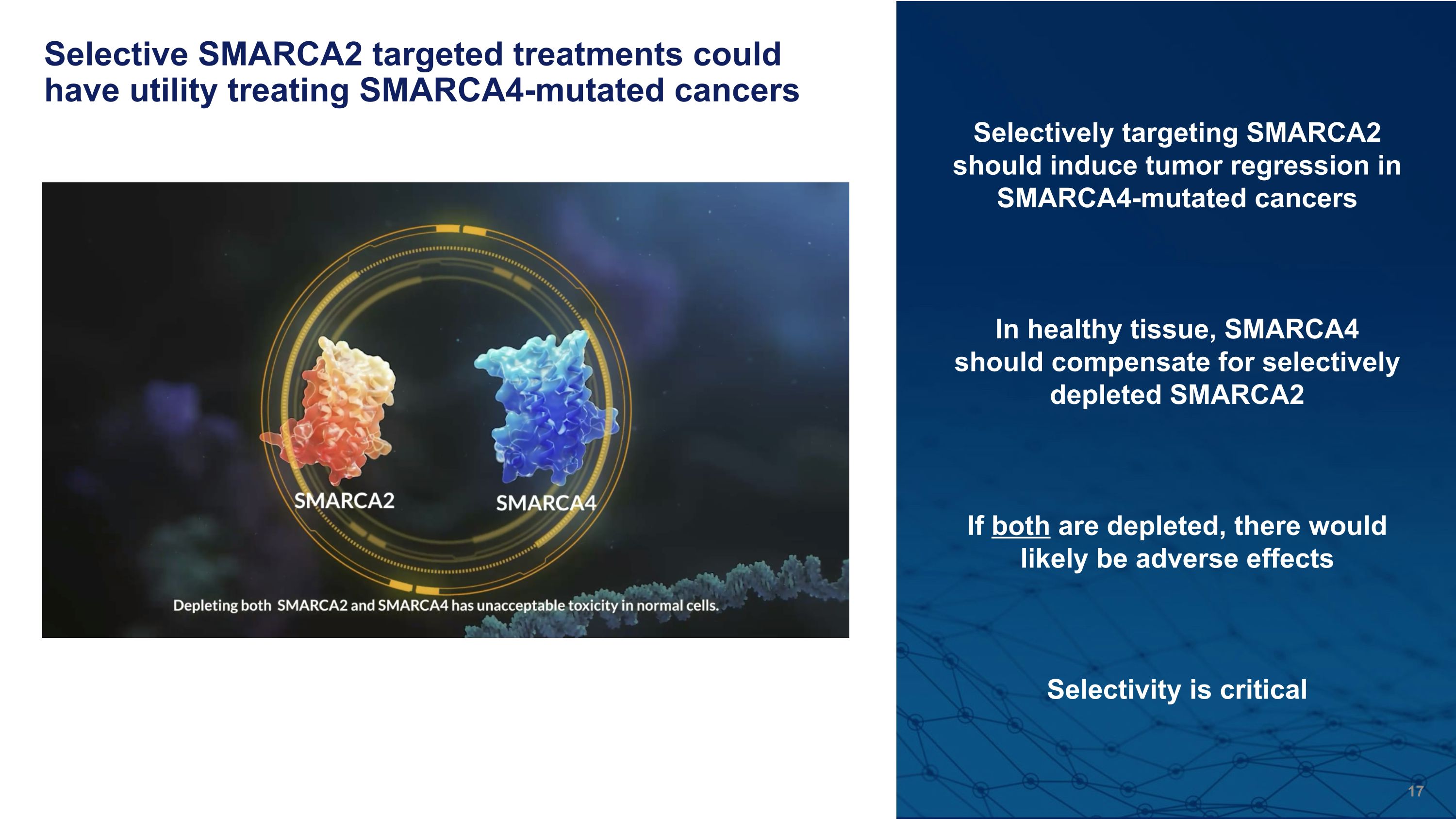 Slide 17