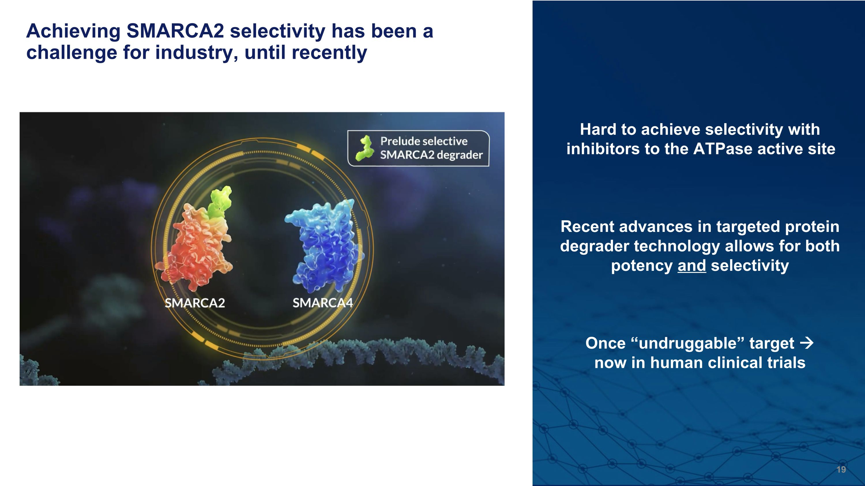 Slide 19